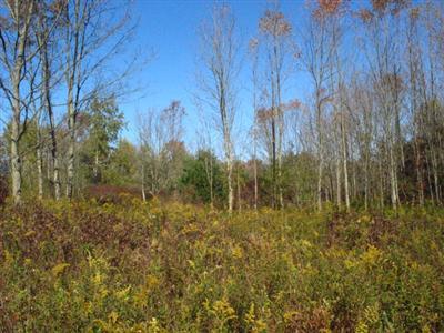 Cline Road Ravenna, MI 49451 - Photo 2 of 14 Additional Photo