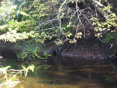 Cline Road Ravenna, MI 49451 - Photo 8 of 14 Additional Photo