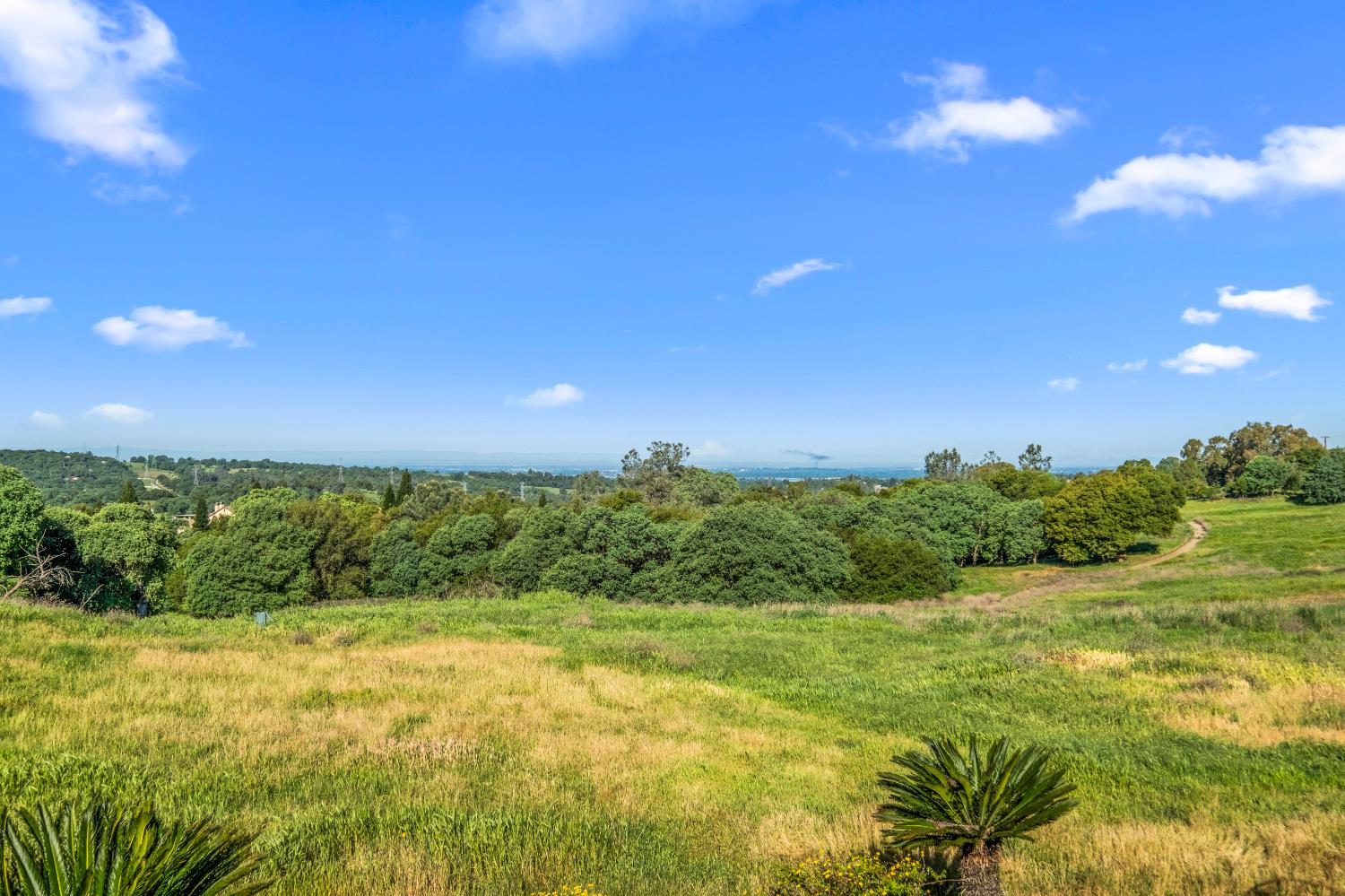 3000 Alexandrite Drive Rescue, CA 95672 - Photo 42 of 77