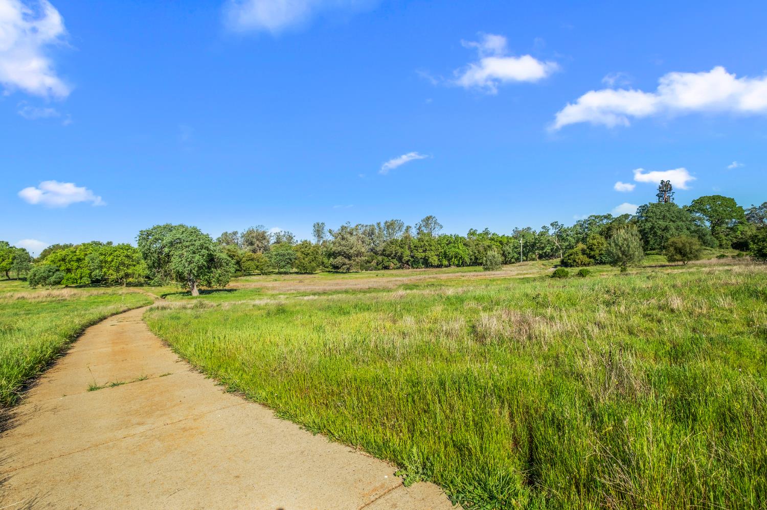 3000 Alexandrite Drive Rescue, CA 95672 - Photo 43 of 77