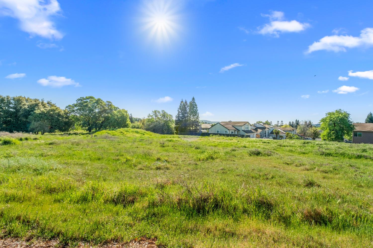 3000 Alexandrite Drive Rescue, CA 95672 - Photo 44 of 77