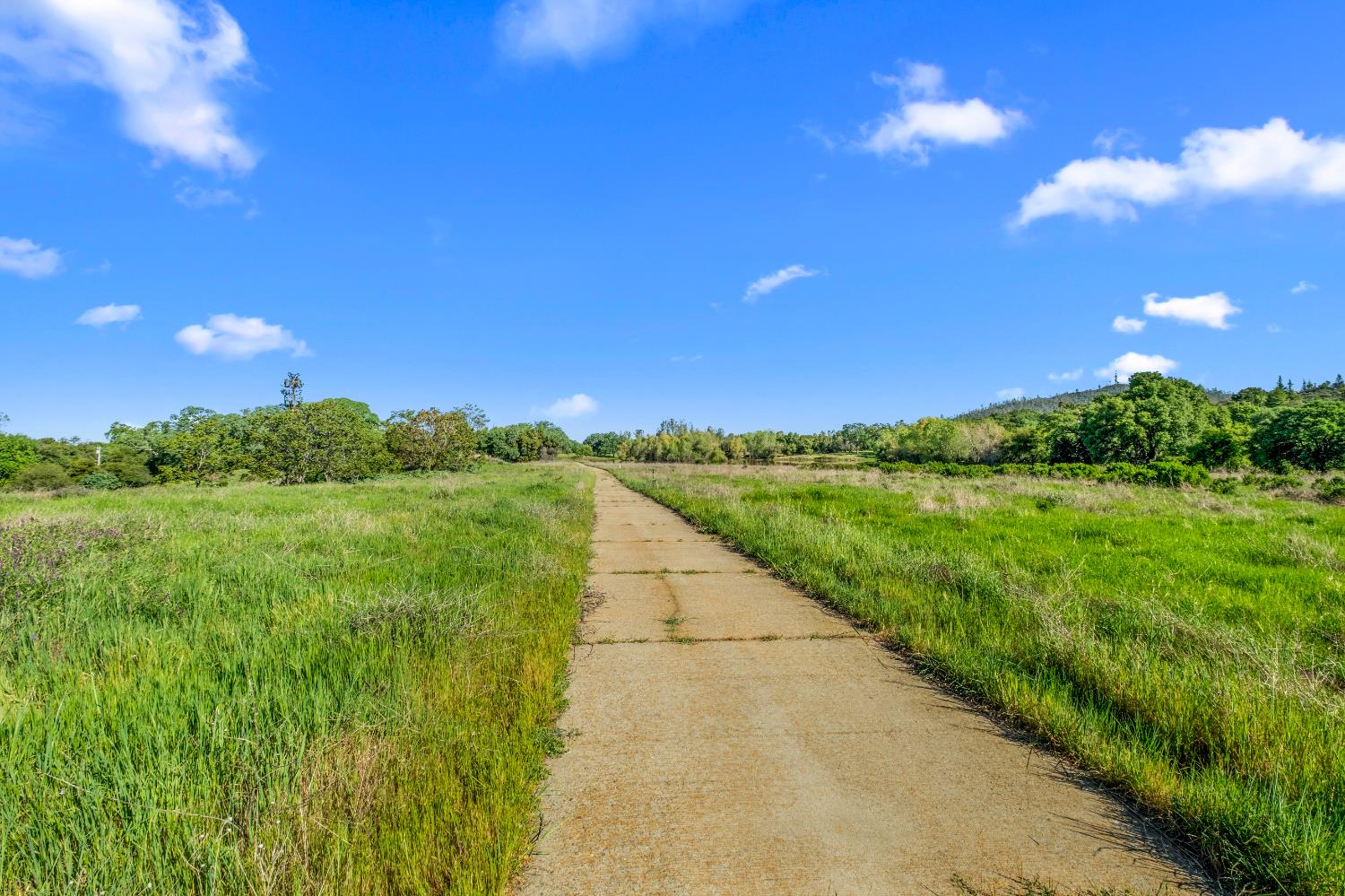 3000 Alexandrite Drive Rescue, CA 95672 - Photo 45 of 77