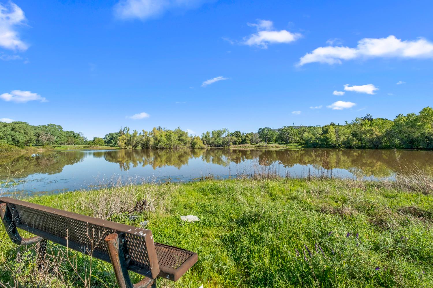 3000 Alexandrite Drive Rescue, CA 95672 - Photo 46 of 77