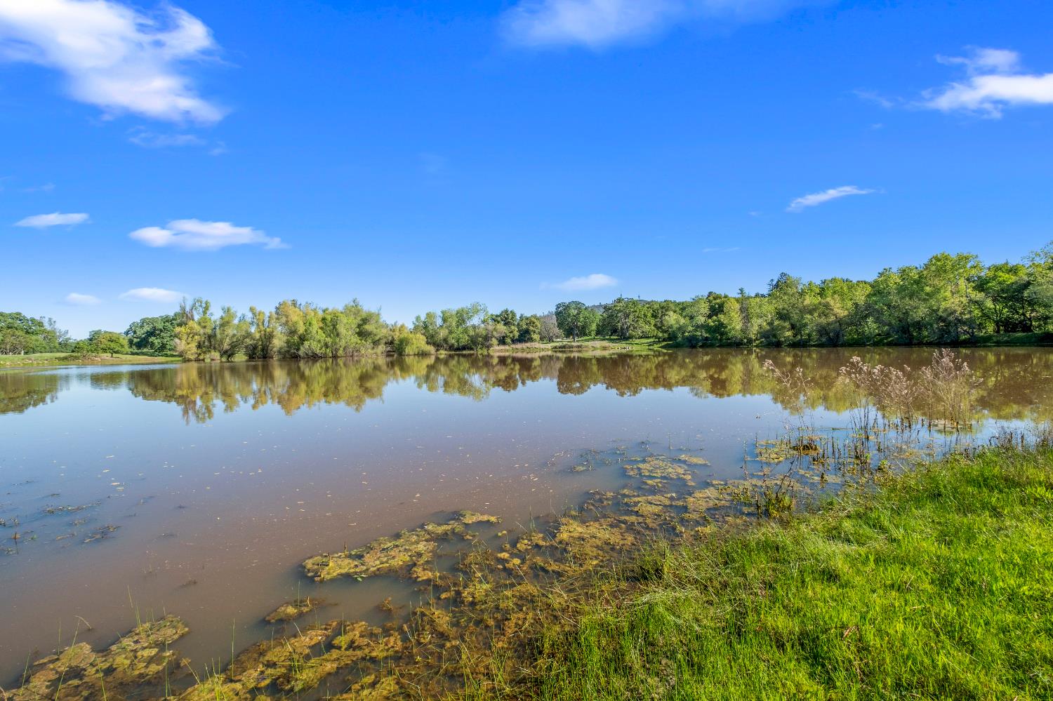 3000 Alexandrite Drive Rescue, CA 95672 - Photo 47 of 77