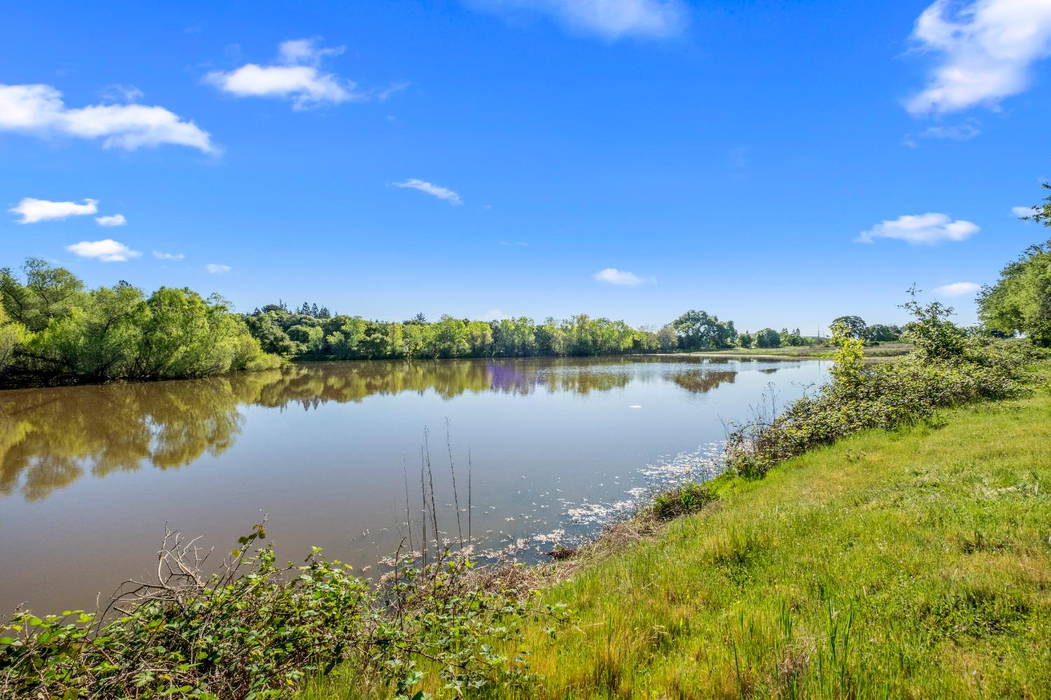 3000 Alexandrite Drive Rescue, CA 95672 - Photo 48 of 77