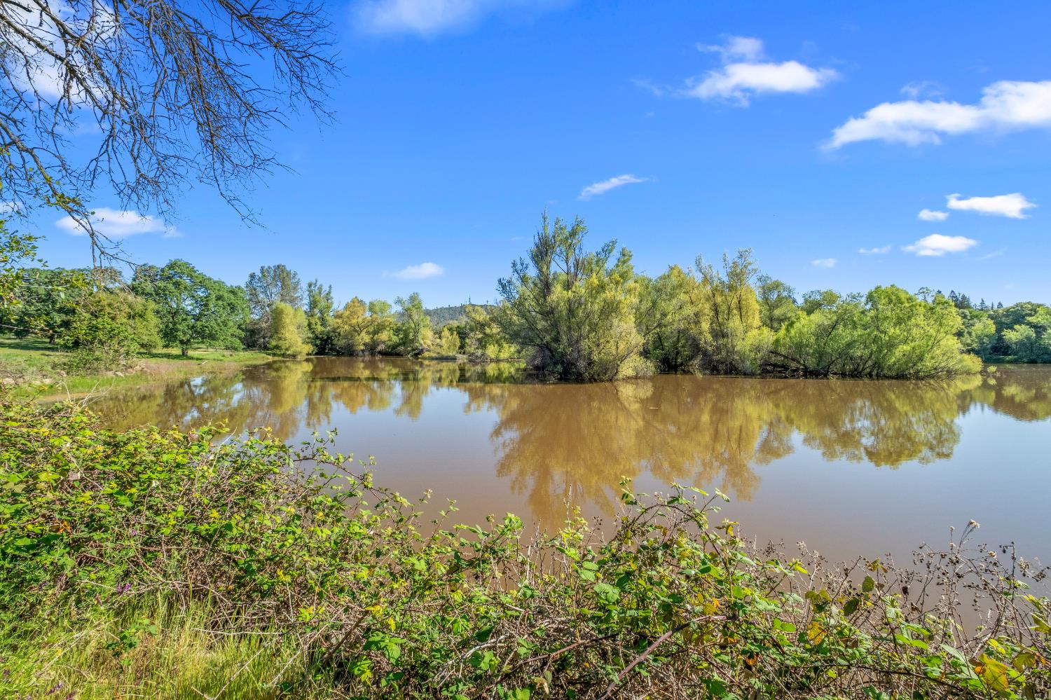 3000 Alexandrite Drive Rescue, CA 95672 - Photo 49 of 77