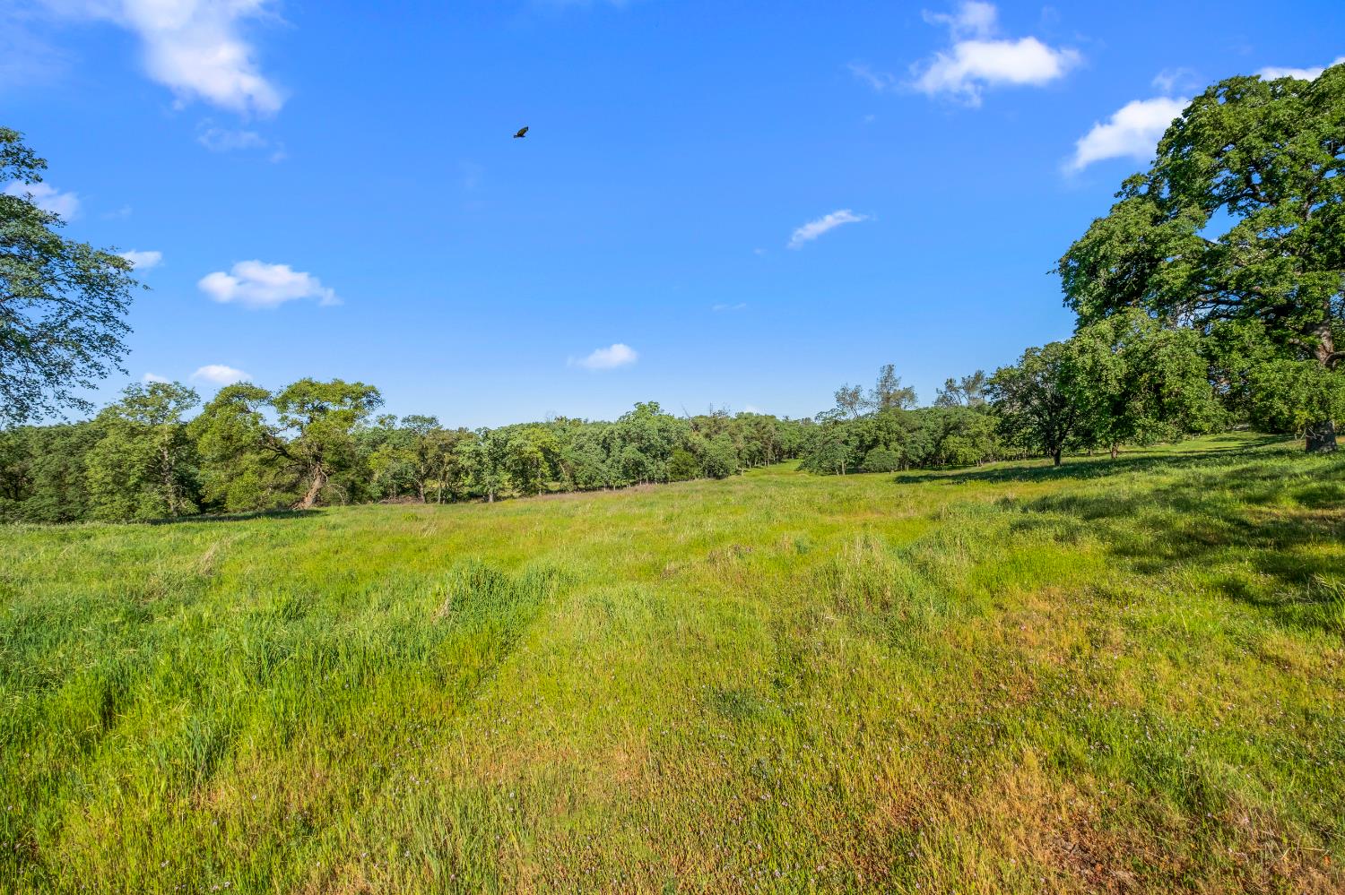 3000 Alexandrite Drive Rescue, CA 95672 - Photo 50 of 77