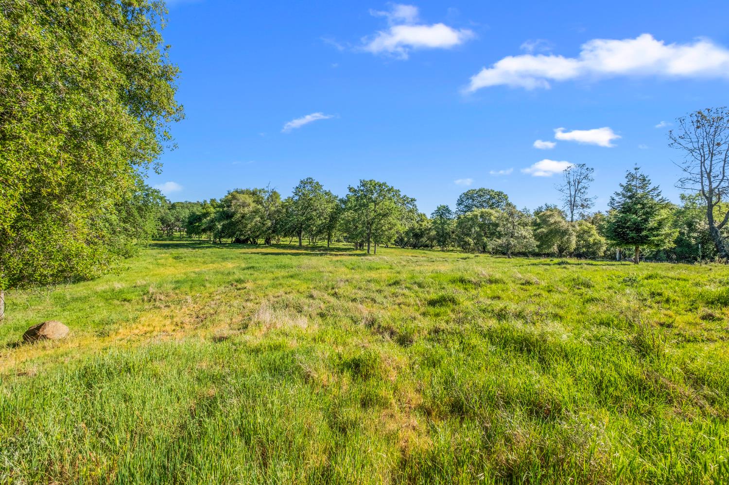 3000 Alexandrite Drive Rescue, CA 95672 - Photo 51 of 77