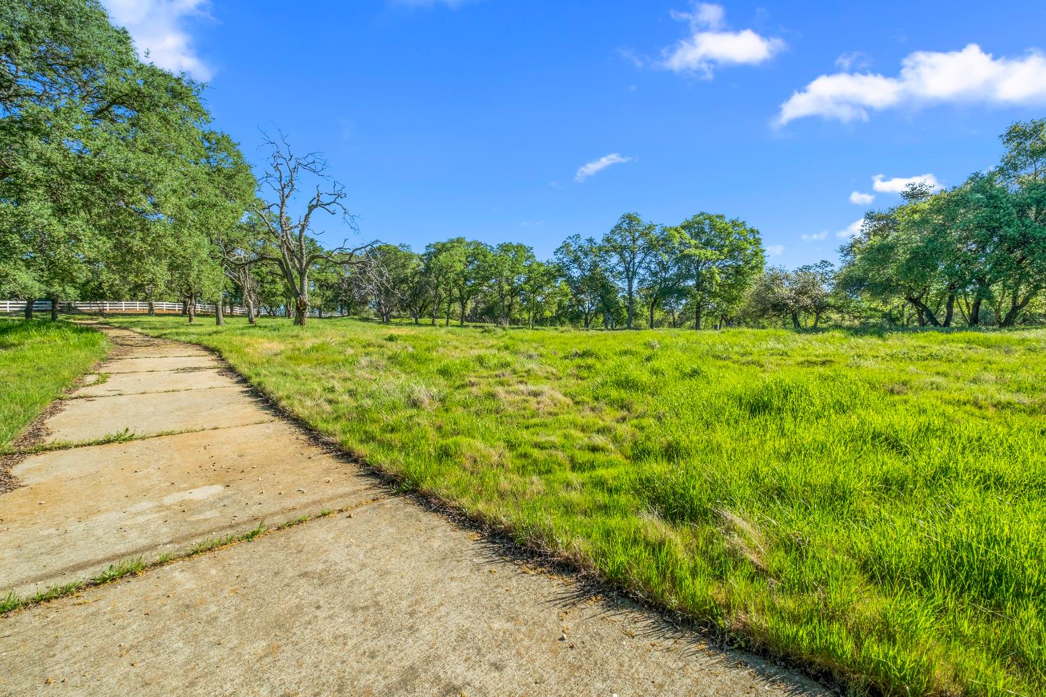 3000 Alexandrite Drive Rescue, CA 95672 - Photo 52 of 77