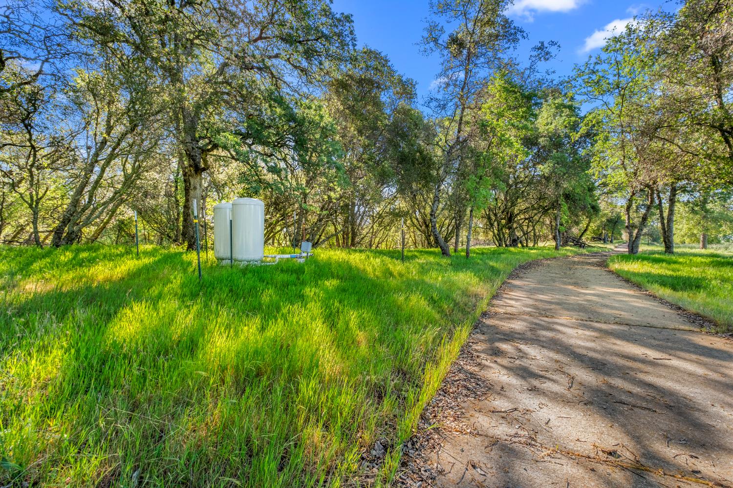 3000 Alexandrite Drive Rescue, CA 95672 - Photo 54 of 77