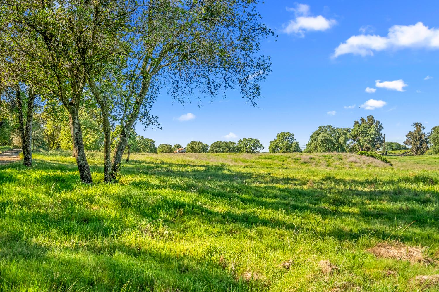 3000 Alexandrite Drive Rescue, CA 95672 - Photo 55 of 77