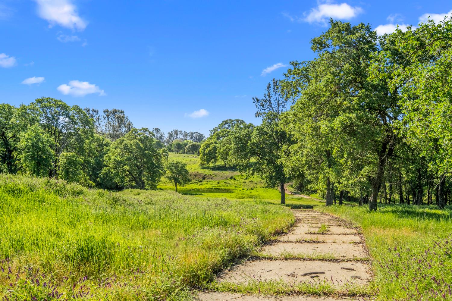 3000 Alexandrite Drive Rescue, CA 95672 - Photo 56 of 77