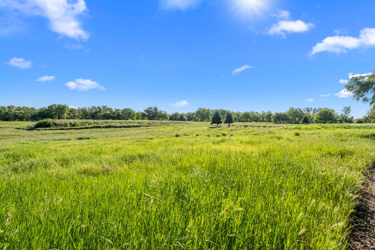 3000 Alexandrite Drive Rescue, CA 95672 - Photo 57 of 77