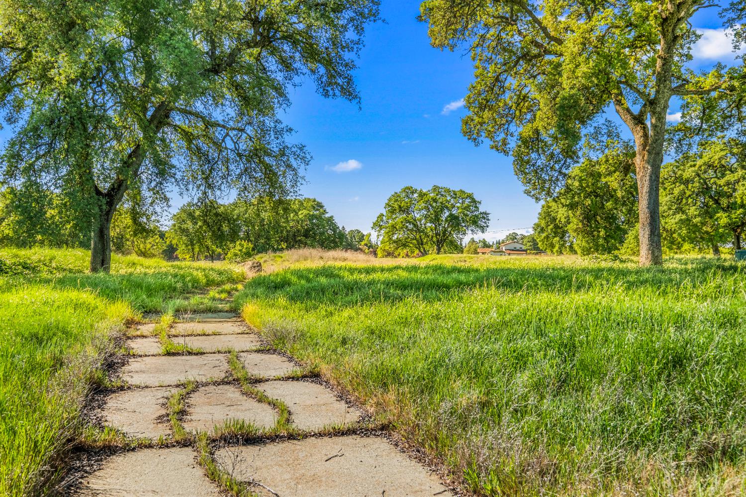 3000 Alexandrite Drive Rescue, CA 95672 - Photo 58 of 77