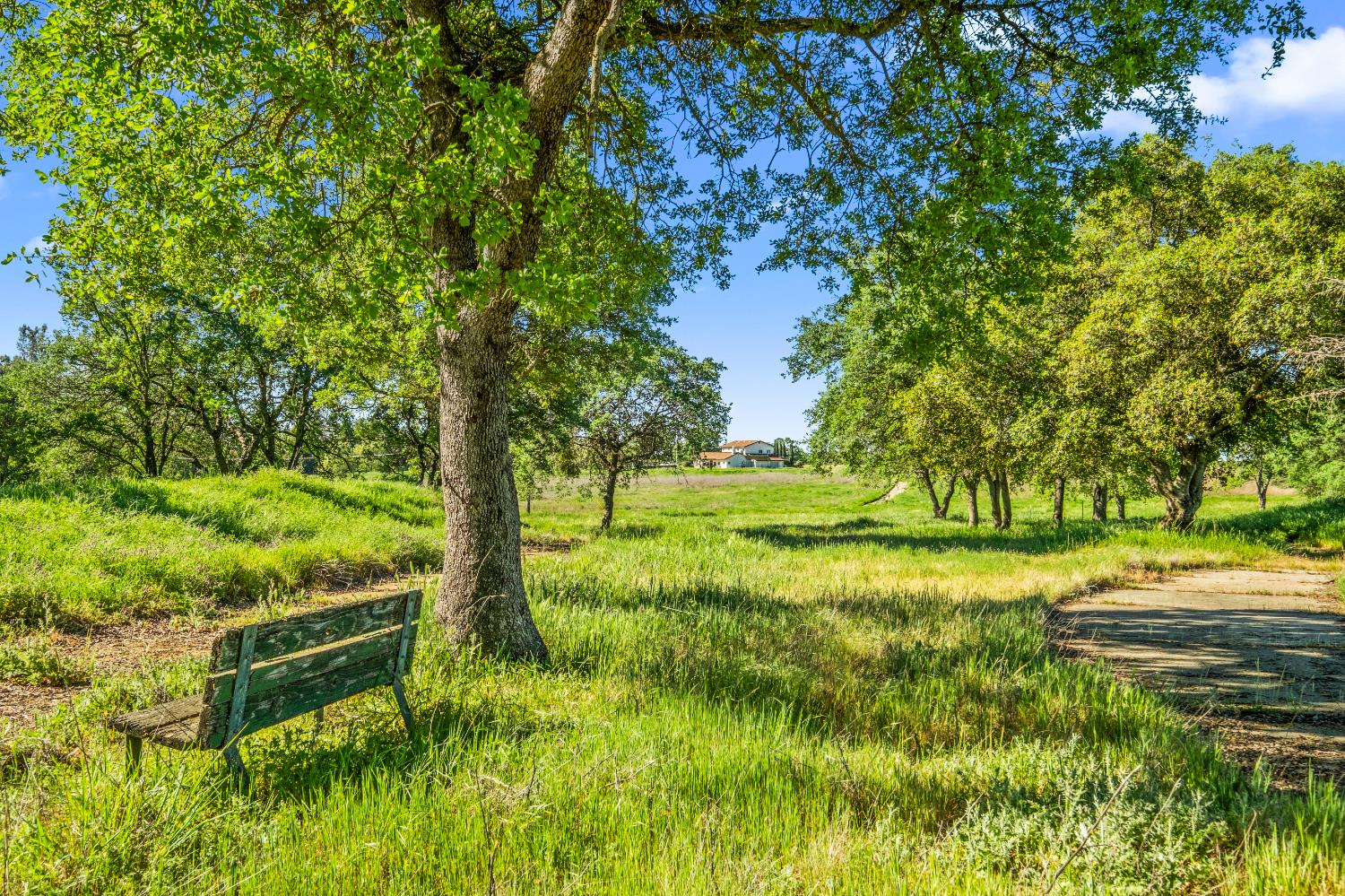 3000 Alexandrite Drive Rescue, CA 95672 - Photo 59 of 77