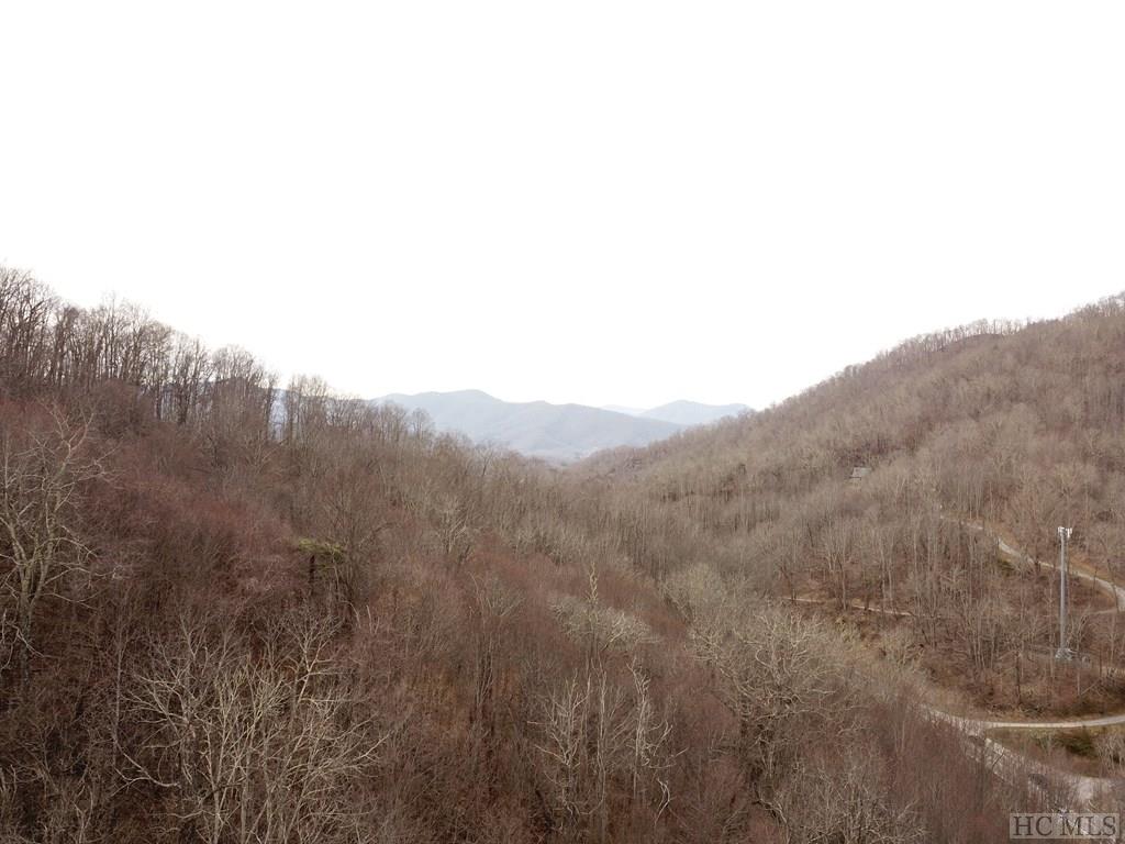 0 Pigeon Road Canton, NC 28716 - Photo 21 of 27 Gallery Image 21