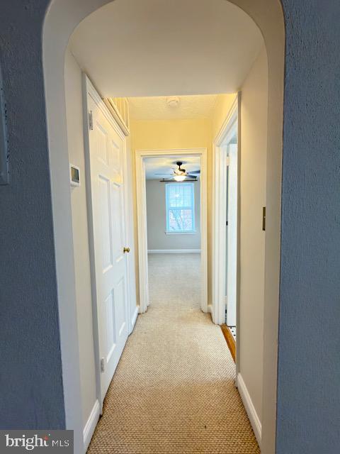 24 South Old Glebe Road, Unit 202 Arlington, VA 22204 - Photo 10 of 22 view of a hallway with wooden shelves