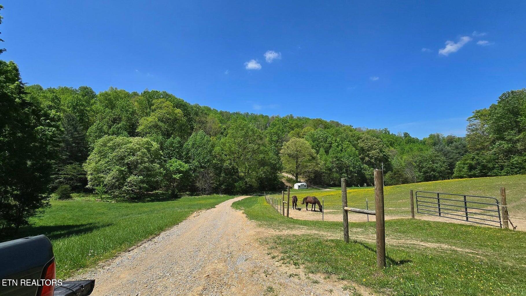 Lot 8 Dooley Hollow Road Ewing, VA 24248 - Photo 15 of 18 Dooley Photo 9