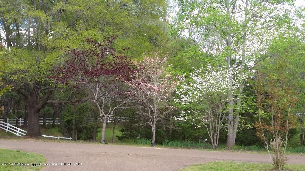 1835 Stable Road Hernando, MS 38632 - Photo 20 of 23 IS27ilyfn1llfe1000000000