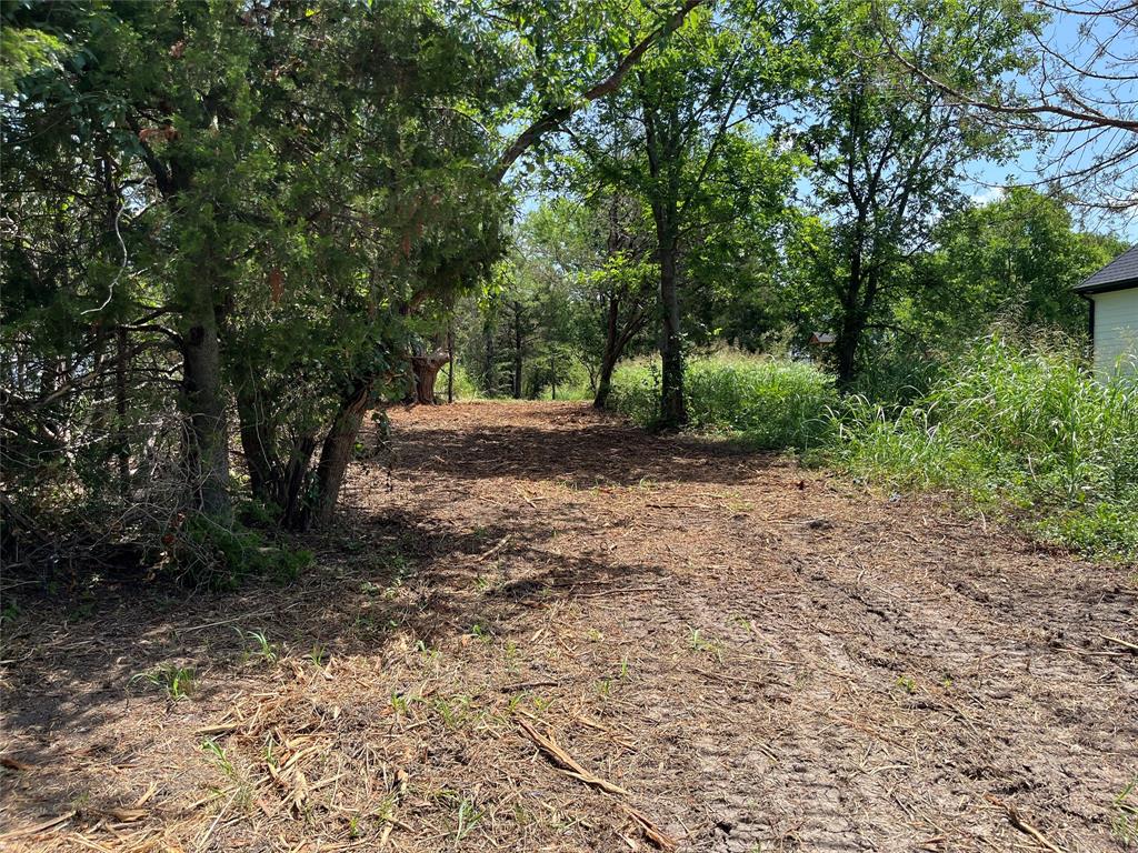 910 Kentucky Town Road Whitewright, TX 75491 - Photo 8 of 22
