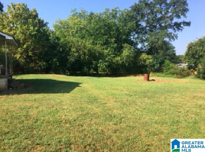 211 Old Ladiga Road Piedmont, AL 36272 - Photo 4 of 5