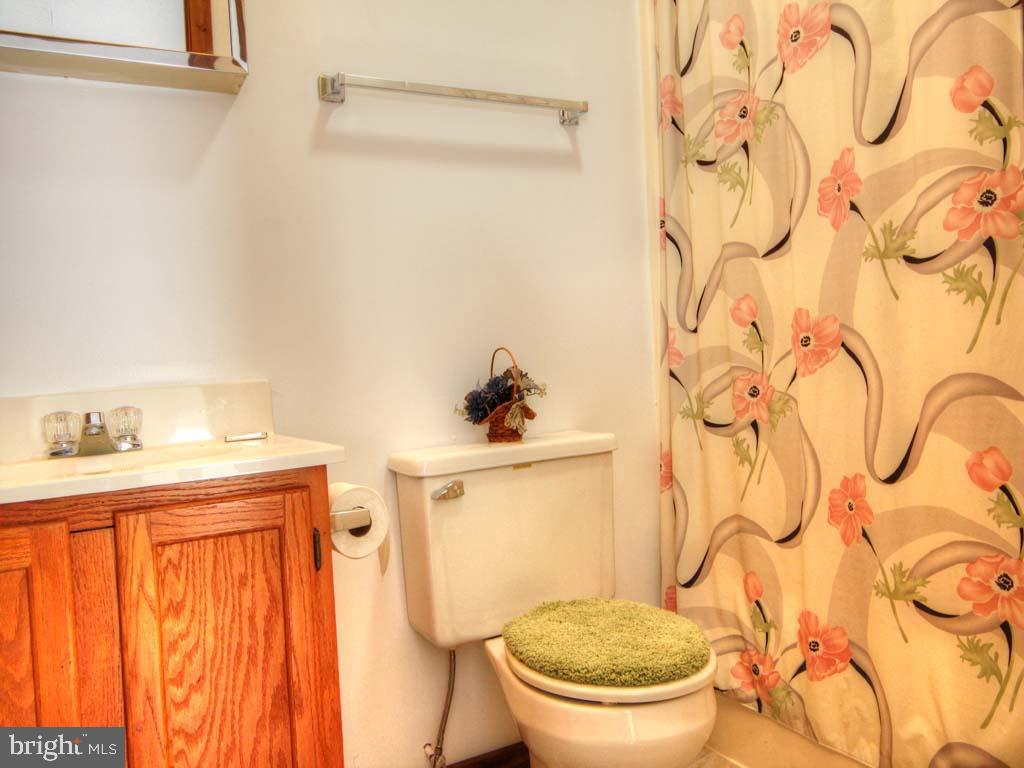 176 Ashby Road Basye, VA 22810 - Photo 11 of 23 Loft Bath