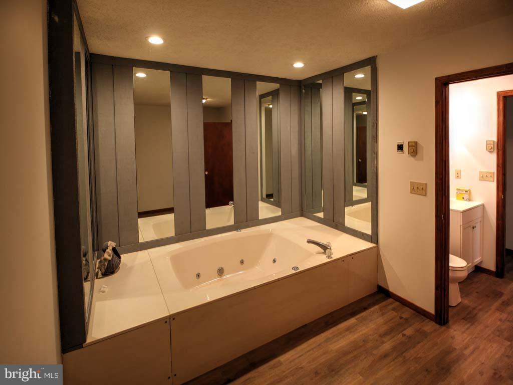 176 Ashby Road Basye, VA 22810 - Photo 19 of 23 Lower Level Bath/Jetted Tub