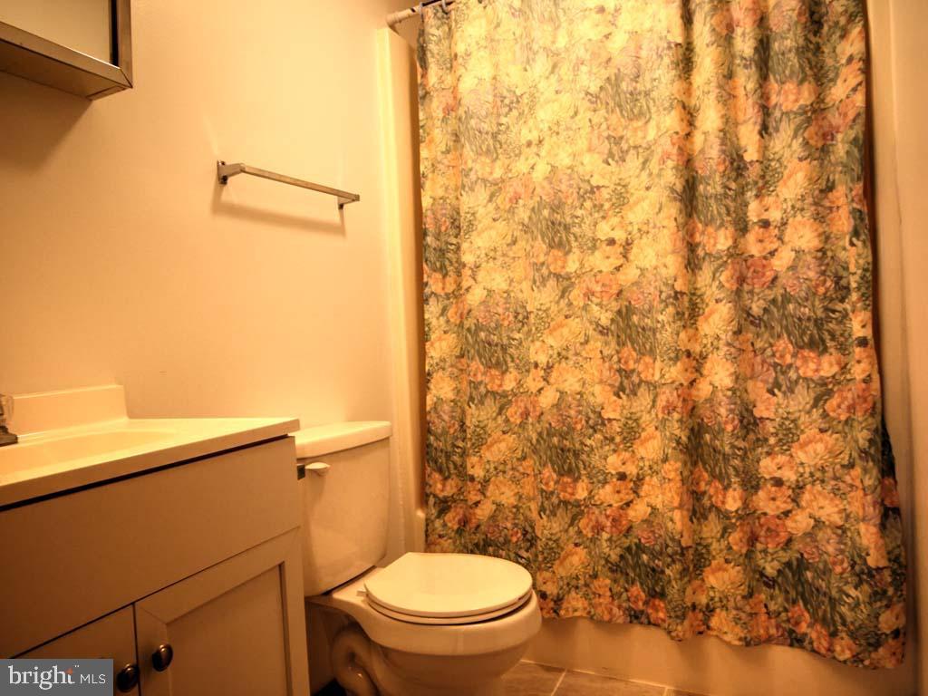 176 Ashby Road Basye, VA 22810 - Photo 9 of 23 Master Bath