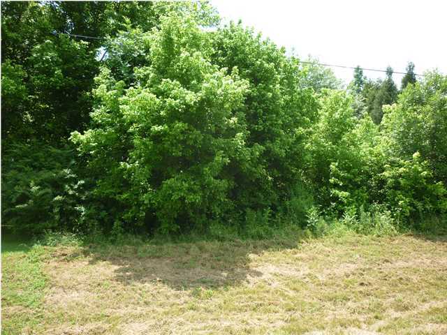 3 Rhea County Highway Spring City, TN 37381 - Photo 3 of 4 Additional Photo