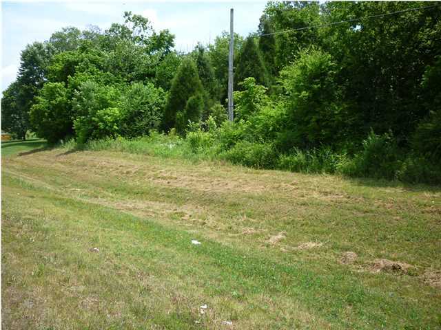 3 Rhea County Highway Spring City, TN 37381 - Photo 4 of 4 Additional Photo