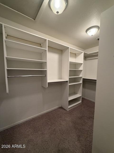 423 West 14th Street Tempe, AZ 85281 - Photo 10 of 25 Primary Closet