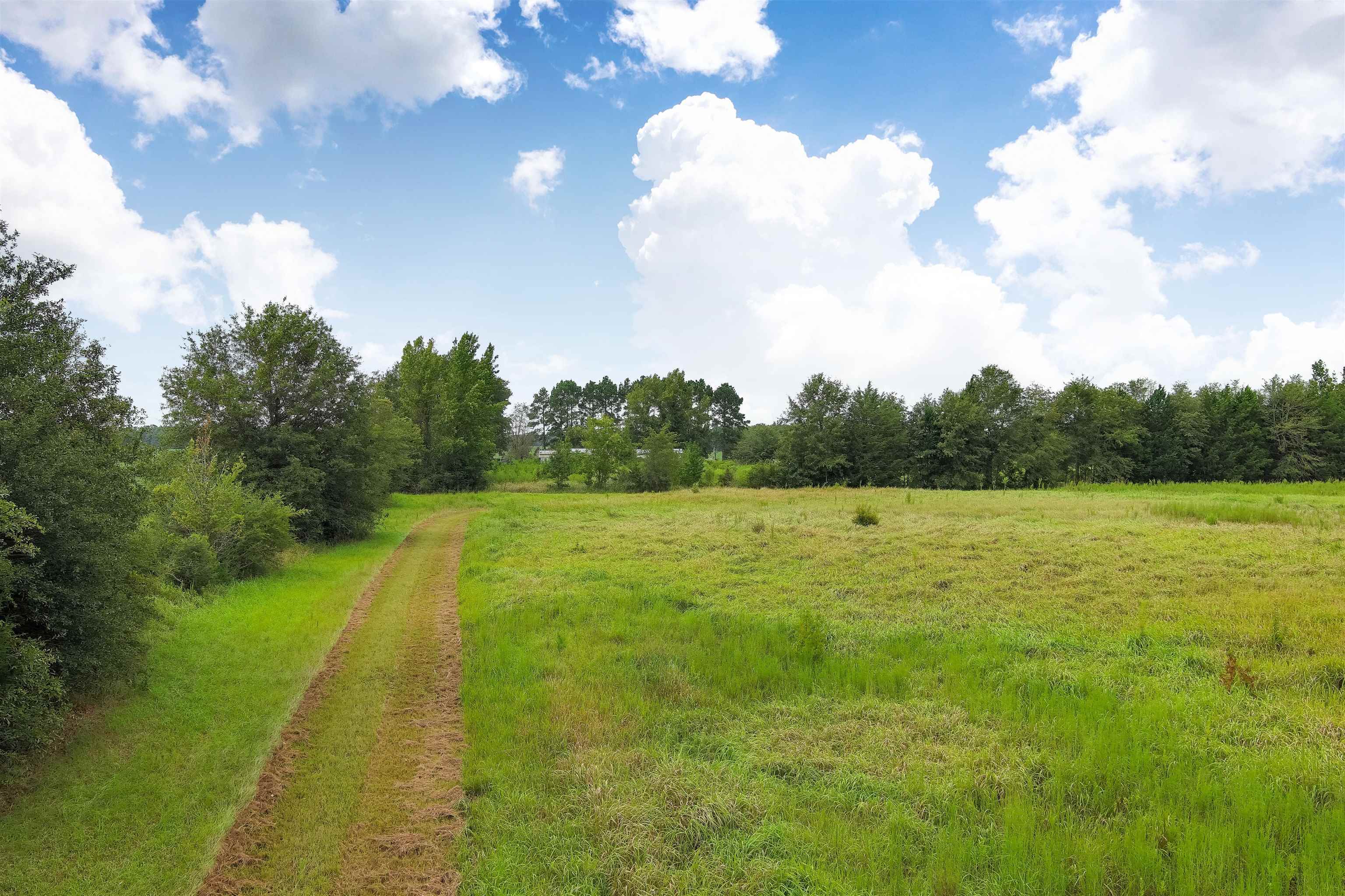 1147 Mack Pond Road Atmore, AL 36502 - Photo 40 of 40 View of landscape with a rural view