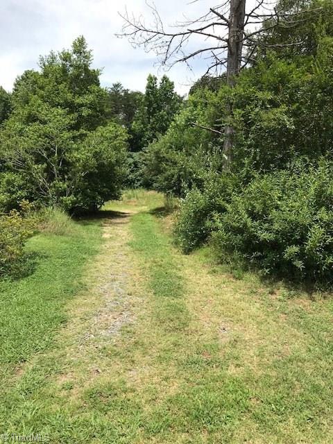 1180 Surry Line Road Pinnacle, NC 27043 - Photo 4 of 19
