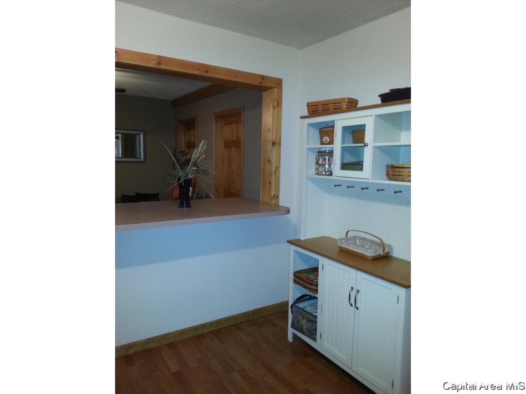 31728 Terry Park Road Palmyra, IL 62674 - Photo 8 of 13