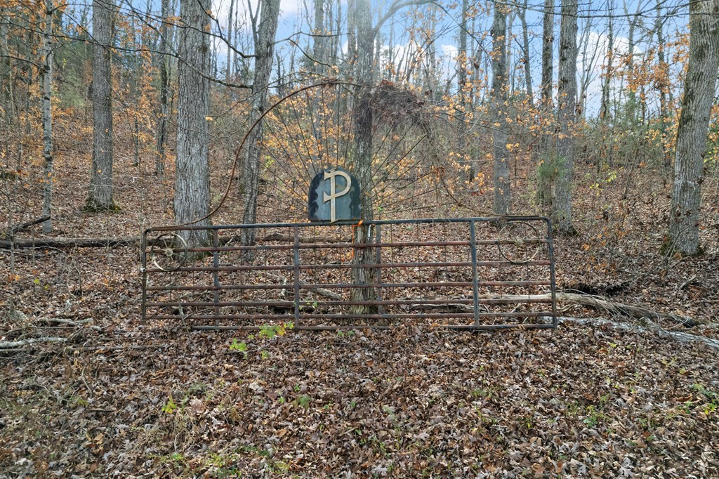 933 Millican Grove Road Sevierville, TN 37876 - Photo 53 of 54