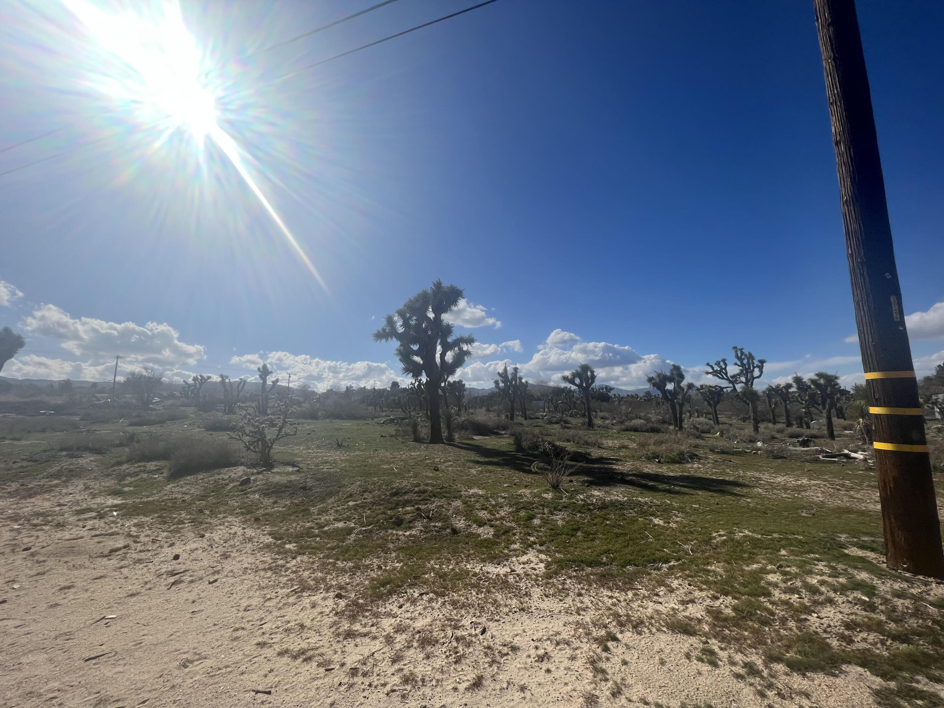 42nd Street Palmdale, CA 93552 - Photo 2 of 6 a view of a town with yard
