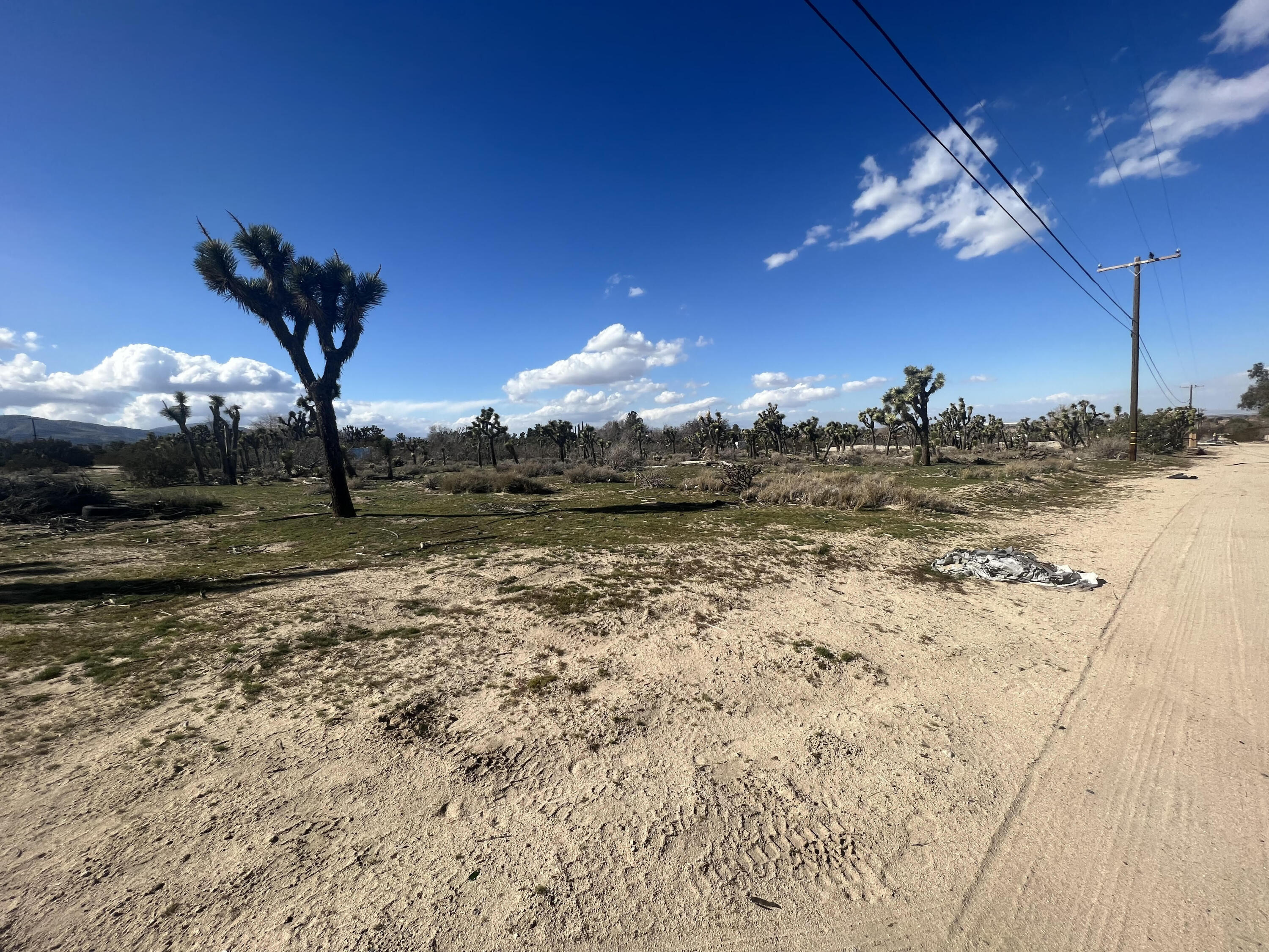 42nd Street Palmdale, CA 93552 - Photo 3 of 6 a view of a house with a yard