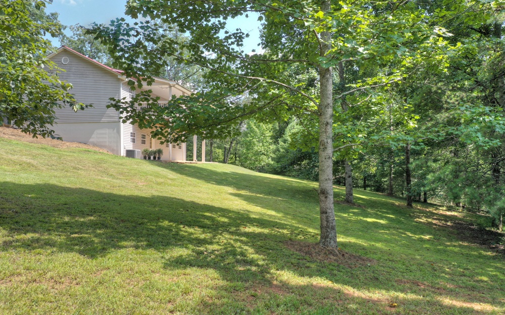 450 Deep Cove Road Blue Ridge, GA 30513 - Photo 4 of 4 Additional View