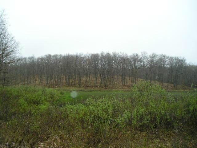 Lanager Road Branch, MI 49402 - Photo 2 of 6 lan5