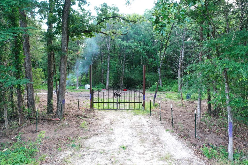 720 Interstate 45 Teague, TX 75860 - Photo 4 of 10 a view of park with trees