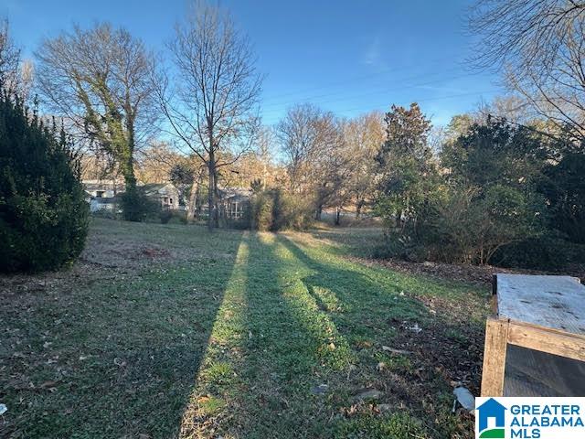 109 Hillside Road Bessemer, AL 35020 - Photo 18 of 21