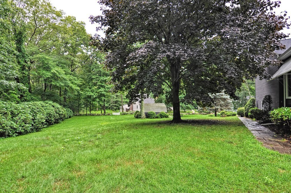 6 Joseph Road Mendon, MA 01756 - Photo 29 of 30 a view of a trees with a yard