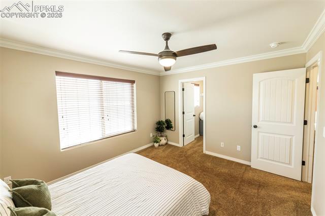 2415 Reed Grass Way Colorado Springs, CO 80915 - Photo 35 of 50 Gallery Image 35