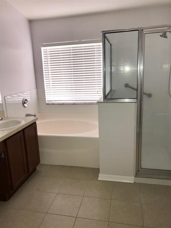 7019 Belt Link Loop Wesley Chapel, FL 33545 - Photo 9 of 14 a bathroom with a bathtub and a shower