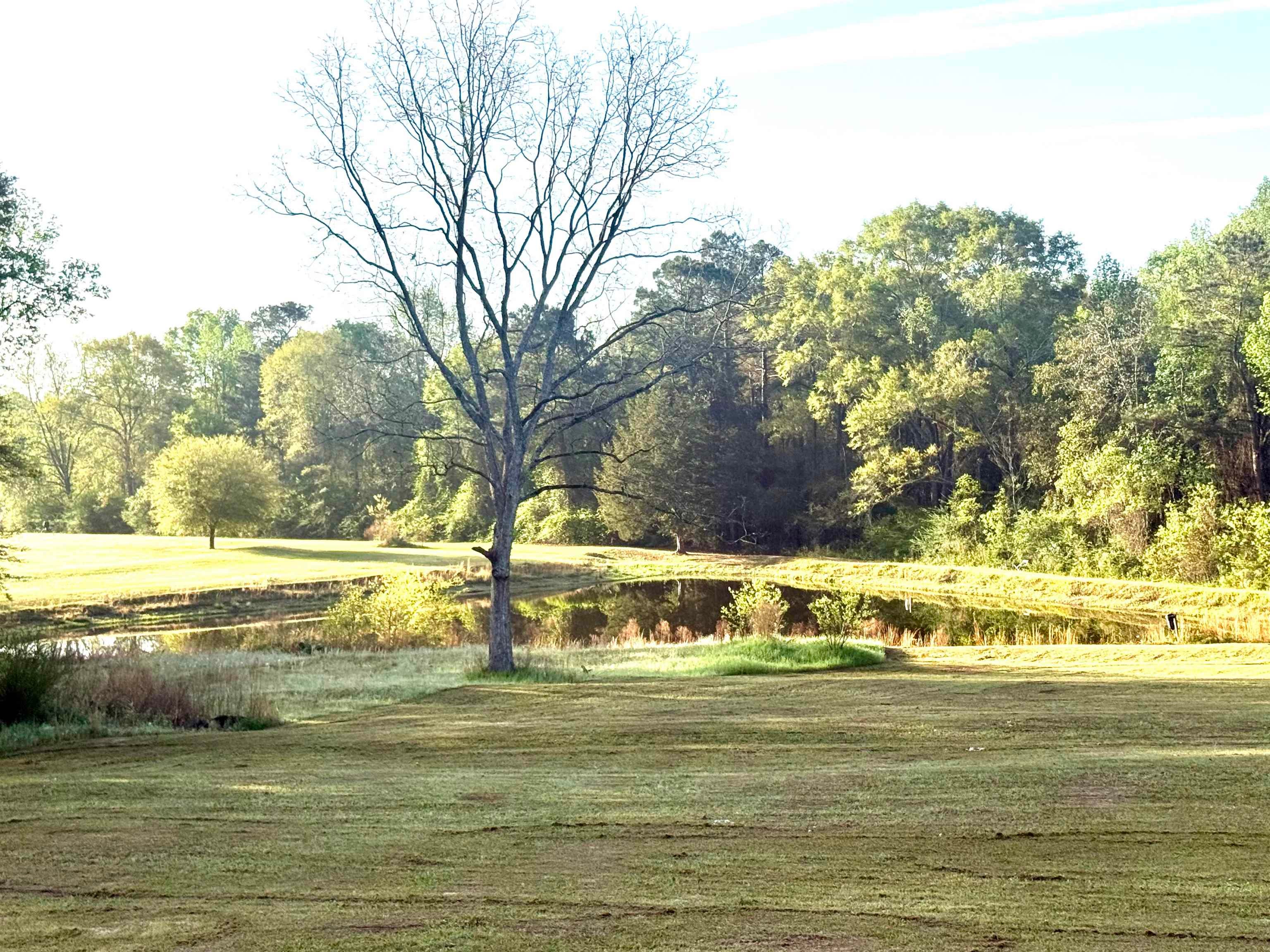18392 George Mims Road Andalusia, AL 36421 - Photo 3 of 27 Gallery Image 3