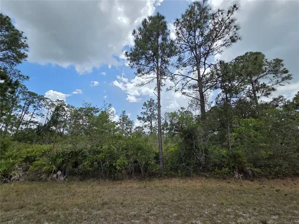 $23,000 | 915 Laguna Drive, Indian Lake Estates, FL 33843