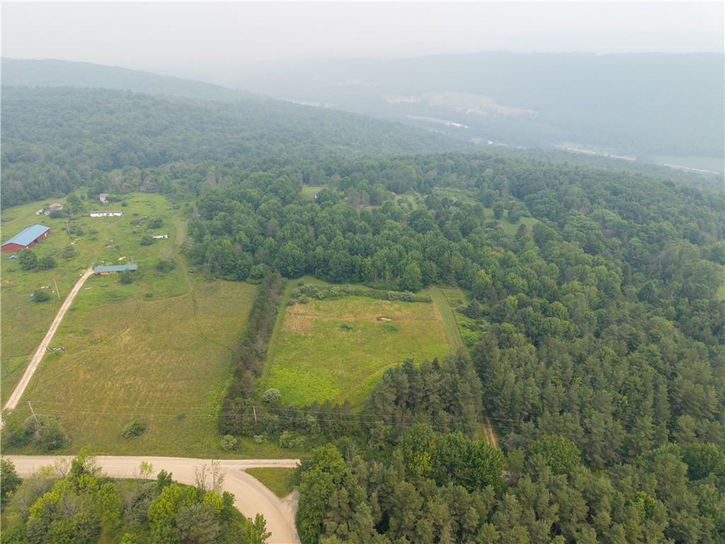 2571 Delude Road Dalton, NY 14836 - Photo 39 of 48