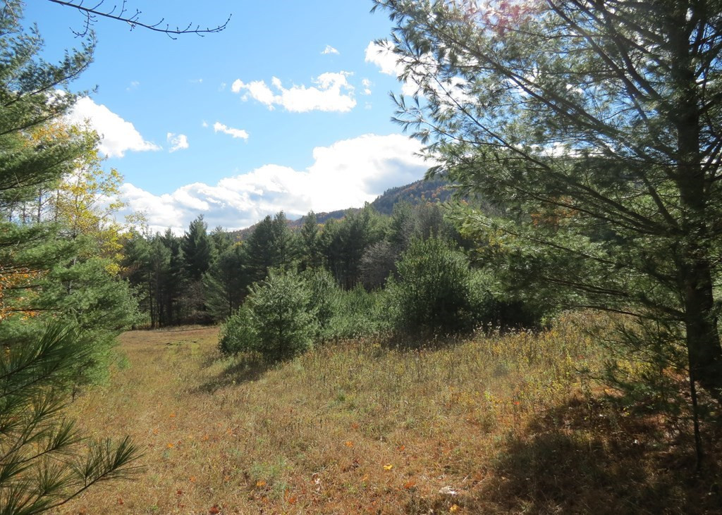 357 Upper Jay-Trumbulls Corners Road Jay, NY 12941 - Photo 5 of 10