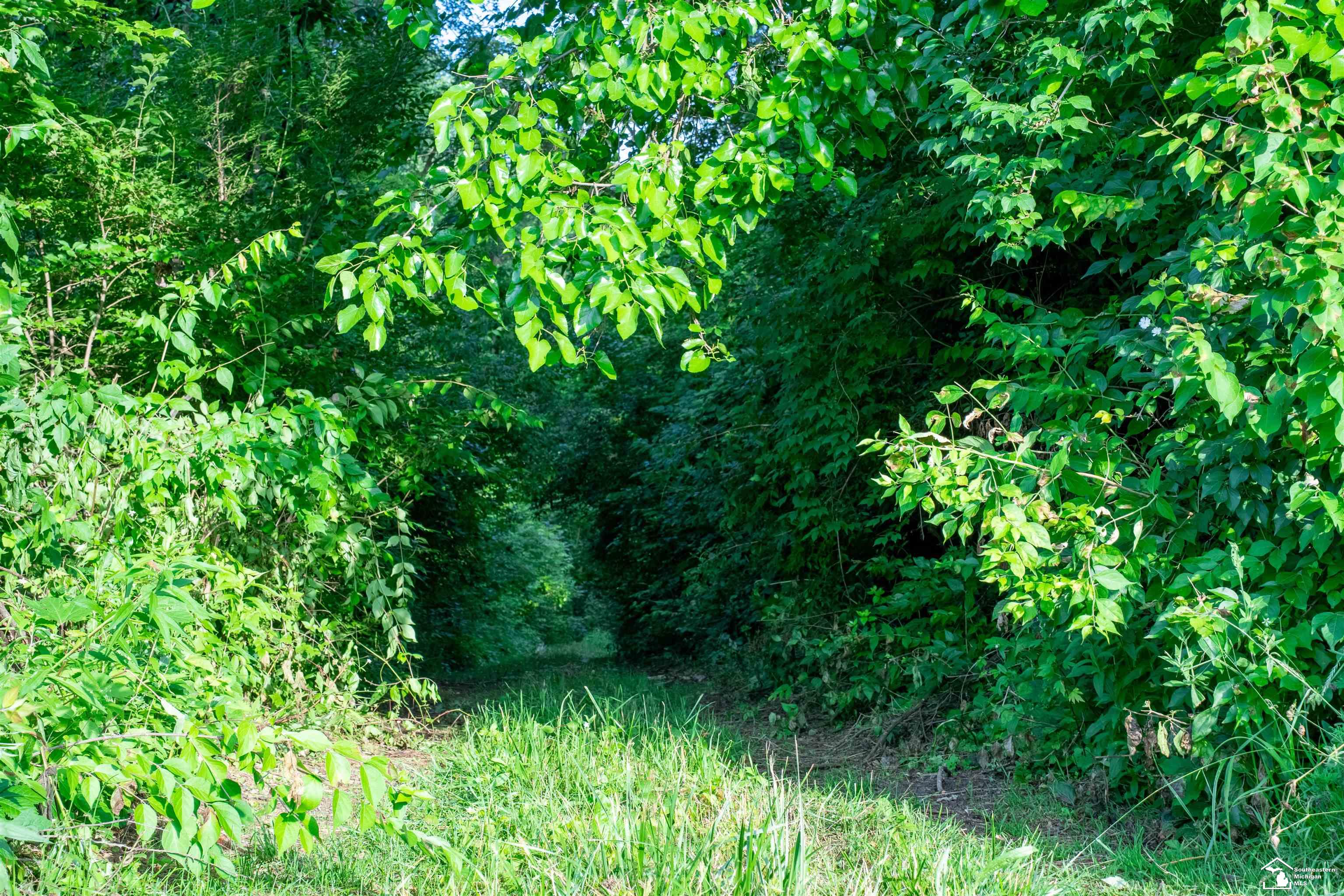 Parcel D Timbers Road Carleton, MI 48117 - Photo 3 of 20