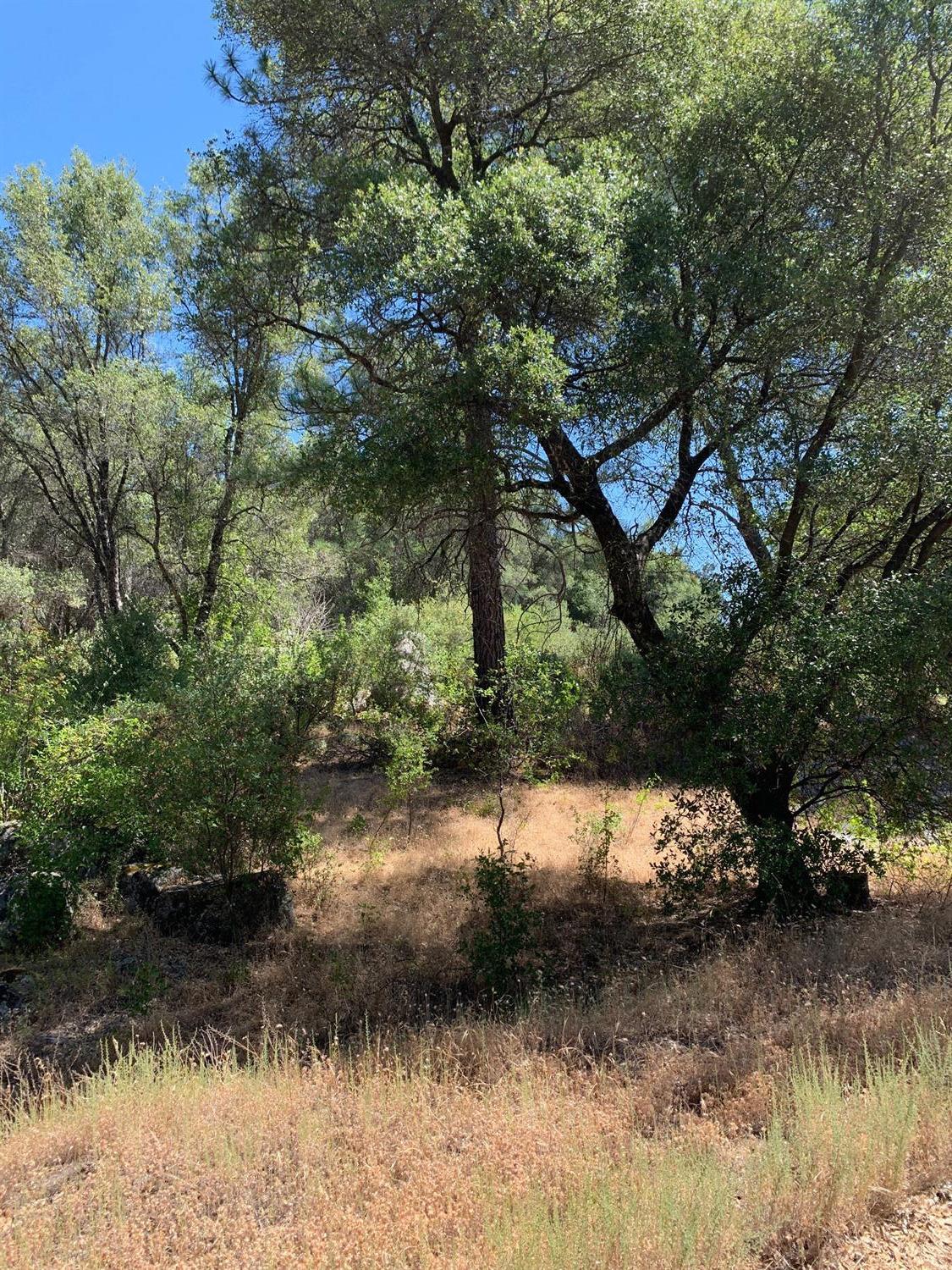3974 Pacific Bars Road Mariposa, CA 95338 - Photo 11 of 22 Gallery Image 11